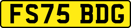FS75BDG