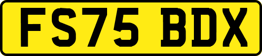 FS75BDX