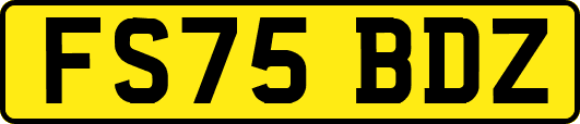FS75BDZ