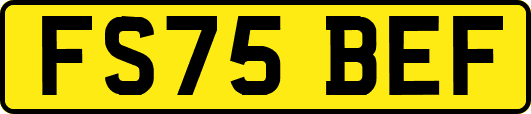 FS75BEF