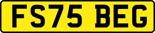 FS75BEG