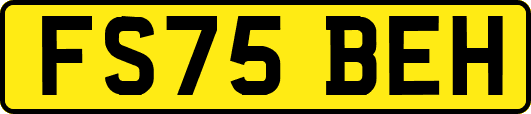 FS75BEH