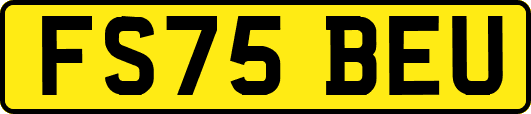 FS75BEU
