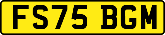 FS75BGM