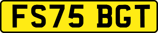 FS75BGT
