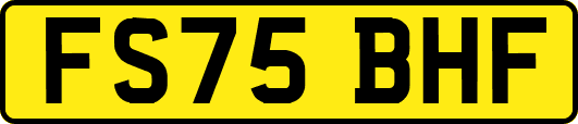 FS75BHF