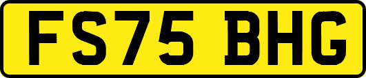 FS75BHG