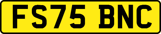 FS75BNC