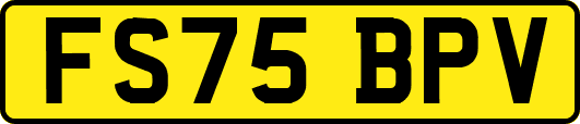 FS75BPV