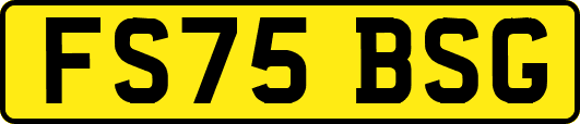 FS75BSG