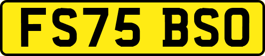 FS75BSO
