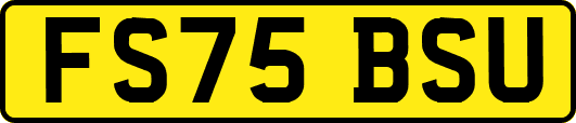 FS75BSU