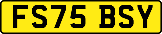 FS75BSY
