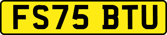 FS75BTU