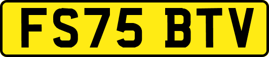 FS75BTV