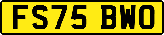 FS75BWO