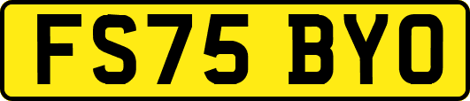 FS75BYO