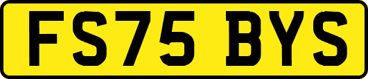 FS75BYS