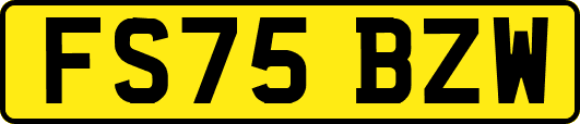 FS75BZW