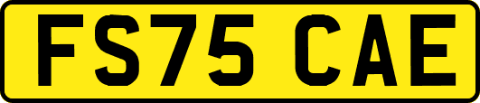FS75CAE