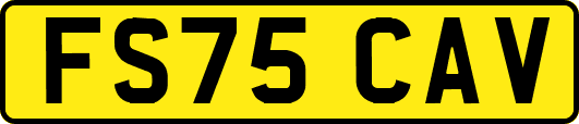 FS75CAV