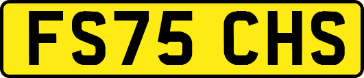 FS75CHS