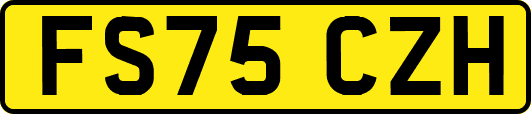 FS75CZH