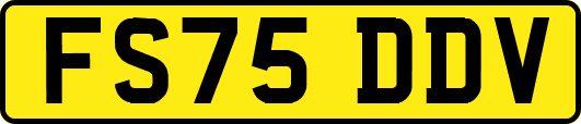 FS75DDV