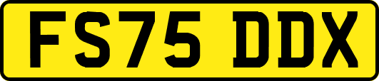 FS75DDX