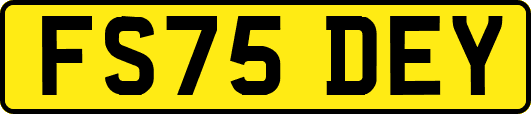 FS75DEY