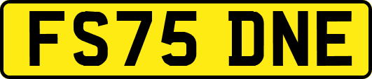 FS75DNE
