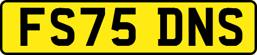 FS75DNS