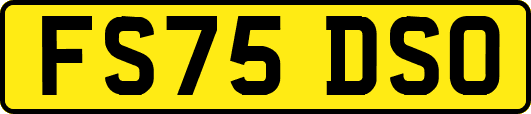 FS75DSO