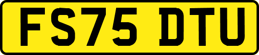 FS75DTU