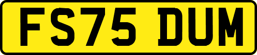 FS75DUM