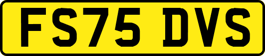 FS75DVS