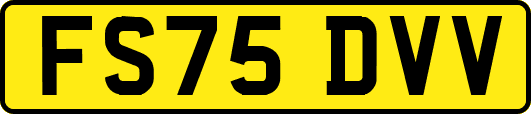 FS75DVV