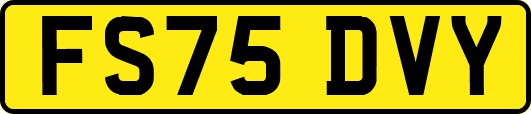 FS75DVY