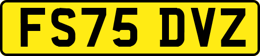 FS75DVZ