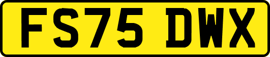 FS75DWX