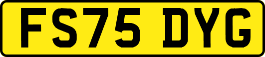 FS75DYG