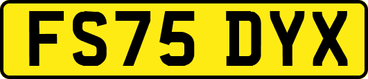 FS75DYX