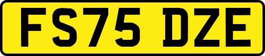 FS75DZE