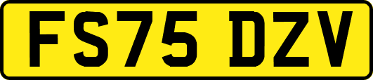 FS75DZV