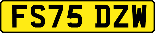 FS75DZW