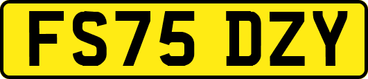 FS75DZY