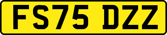 FS75DZZ