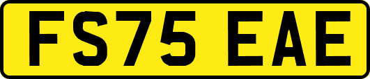 FS75EAE