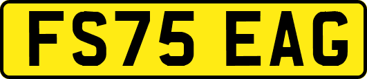 FS75EAG