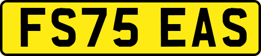 FS75EAS